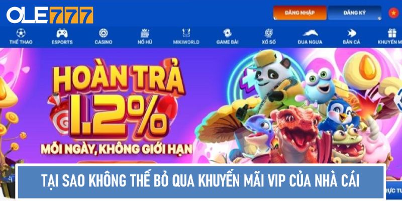 Tại sao người chơi không thể bỏ qua khuyến mãi VIP của nhà cái Ole77